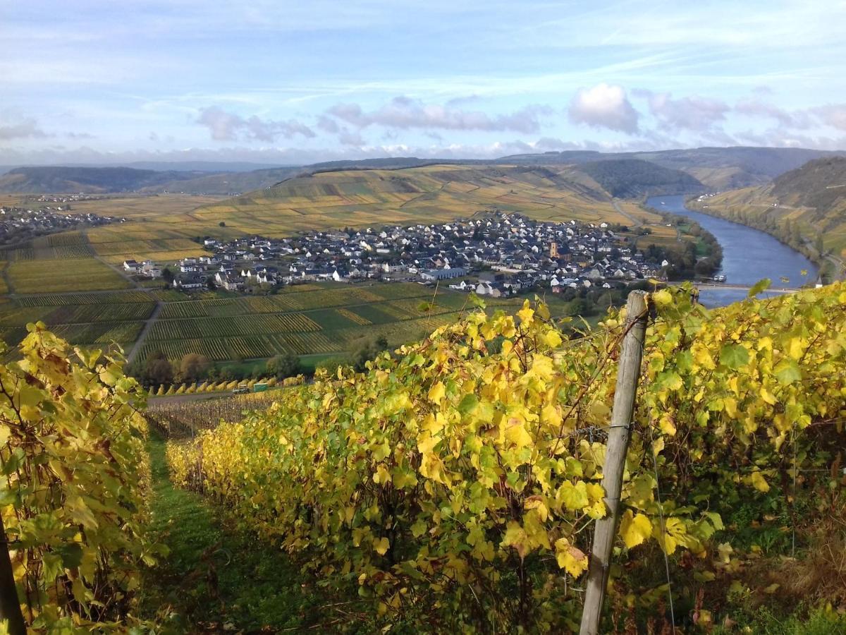 Ferienwohnung Bergblick Trittenheim Extérieur photo